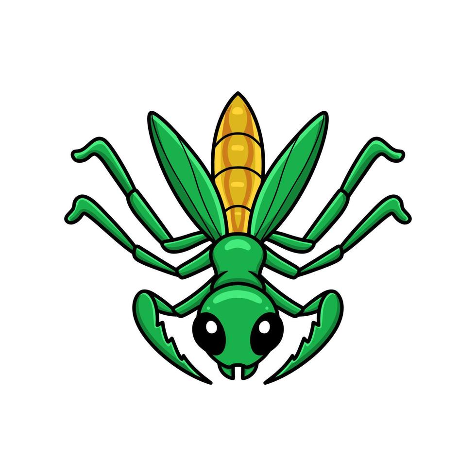 pequeño personaje de dibujos animados lindo mantis vector