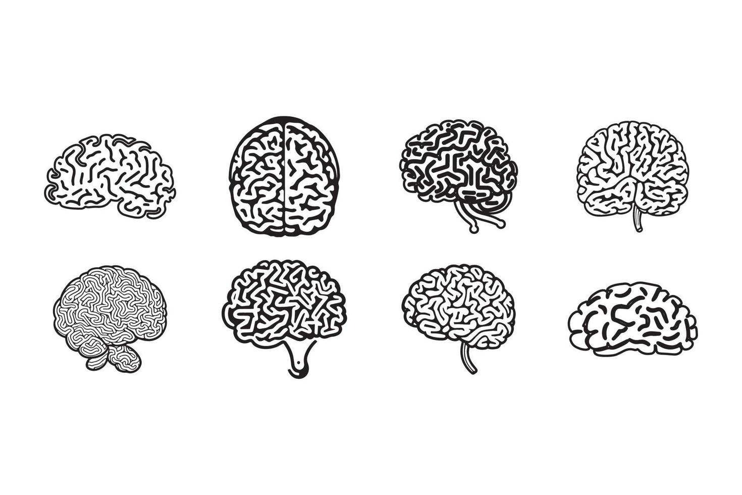 cerebro para colorear vector