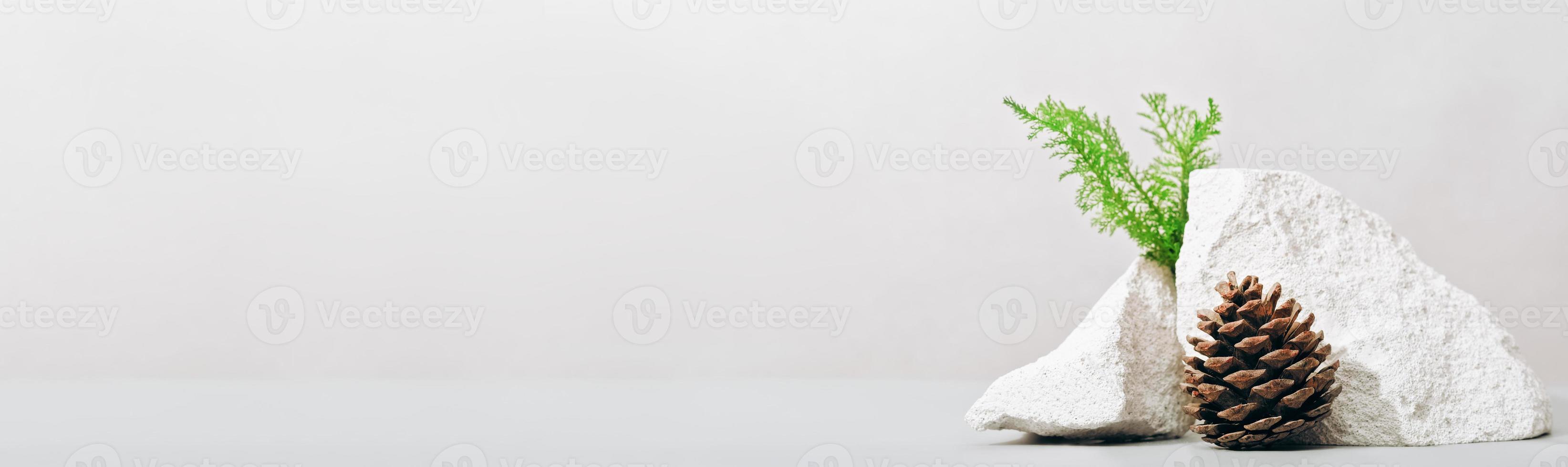 Abstract nature scene composition of stones, pine cone and green grass. podium product placement concept on grey background. copyspace banner. photo