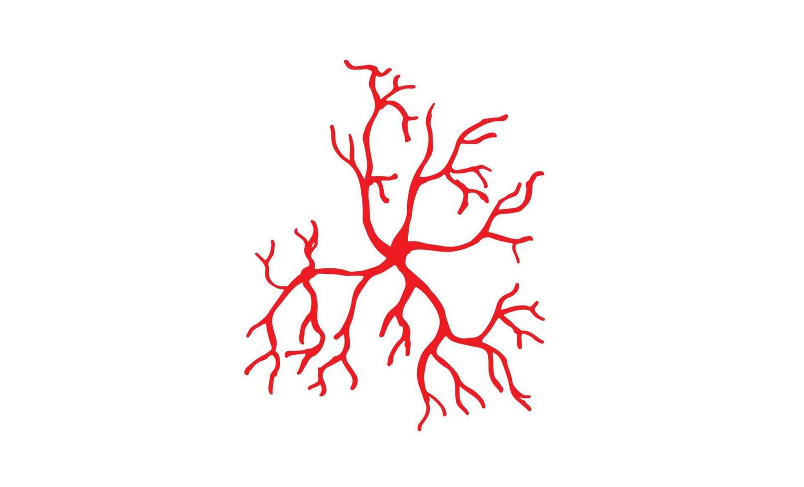 Human Veins and Arteries Illustration vector