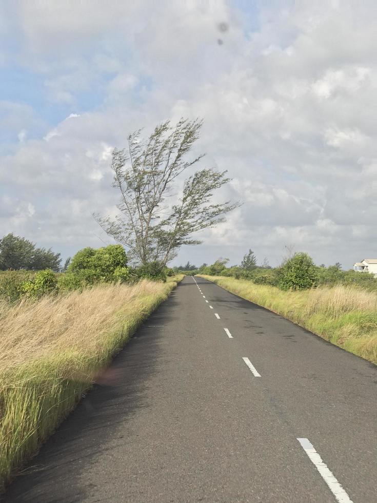 The view of the highway with beautiful grass stretching along the edge of the road and white clouds covering photo