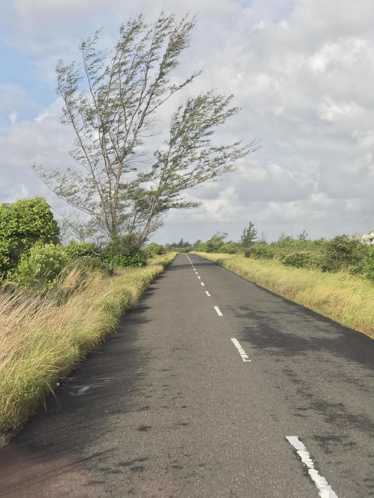 The view of the highway with beautiful grass stretching along the edge of the road and white clouds covering photo