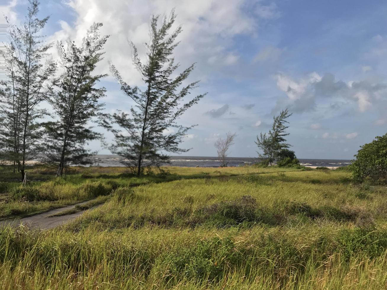 The view of the highway with beautiful grass stretching along the edge of the road and white clouds covering photo