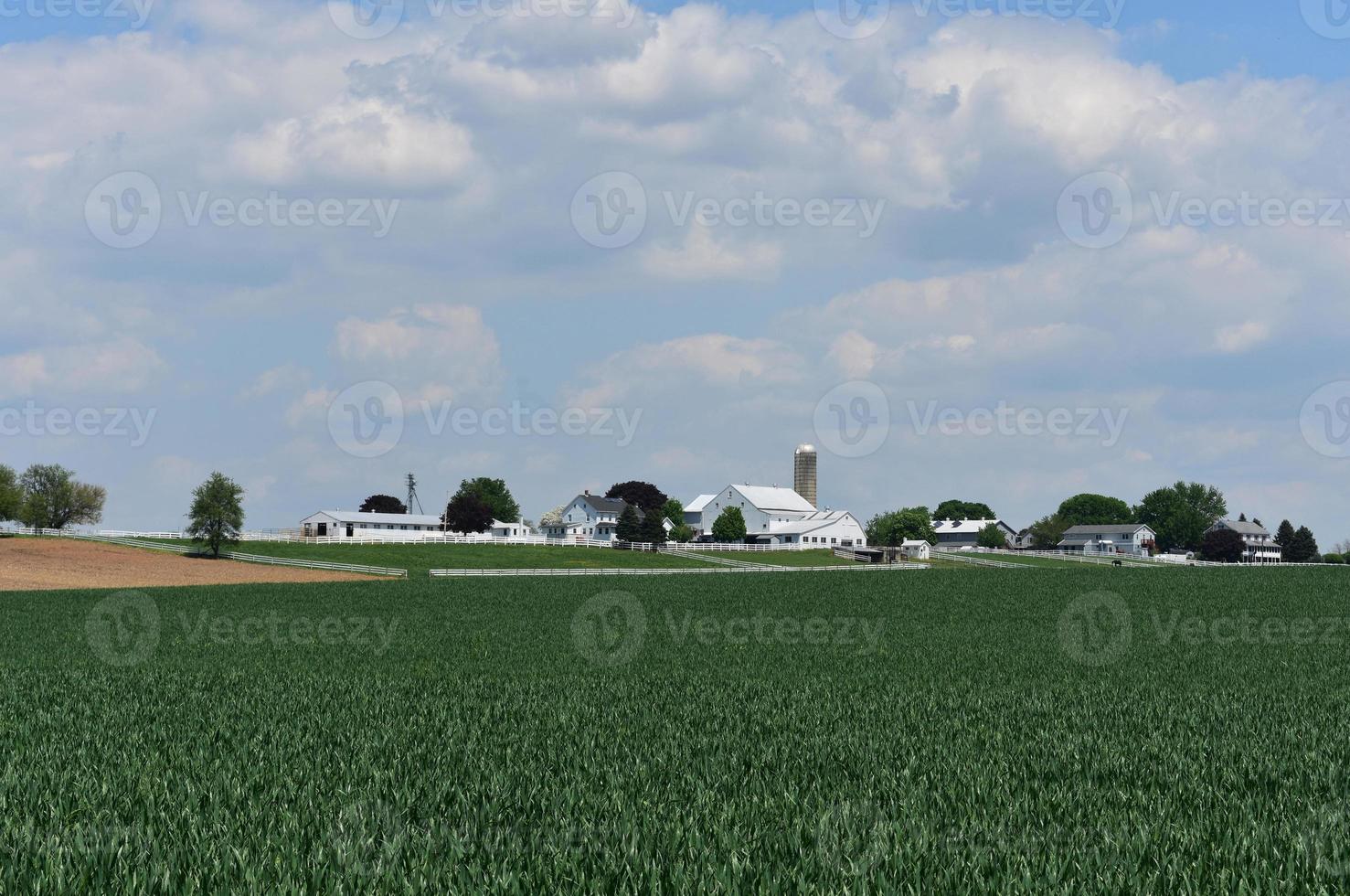 Amish Farm in Lancaster County Pennsylvania with Gorgeous Pastures photo