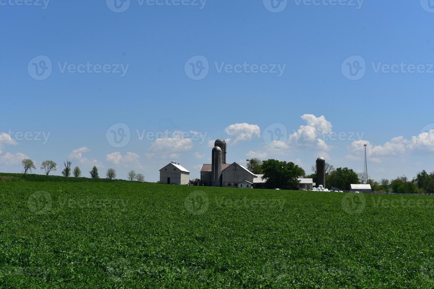 Trio of Silos Surrounding a Farmhouse in Pennsylvania photo