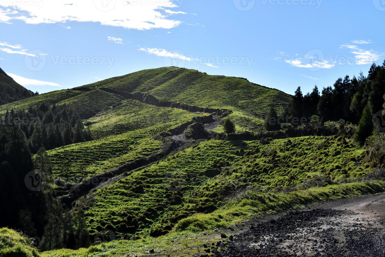 Hiking Trail Cutting Through Lush Grass Fields in the Azores photo