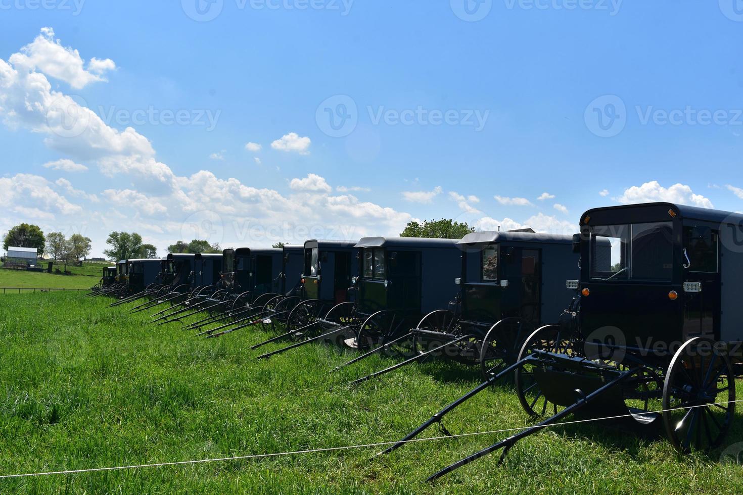Horse Drawn Buggies Parked on a Farm in a Field photo