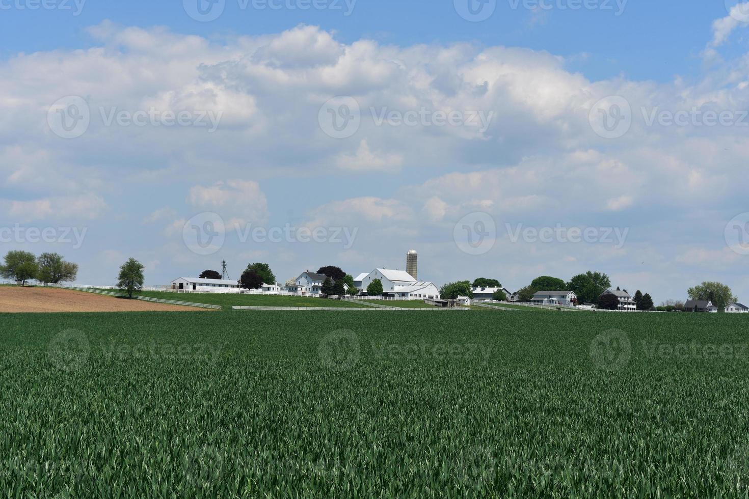 Lovely Farm with a Beautiful Fields Surrounding It photo