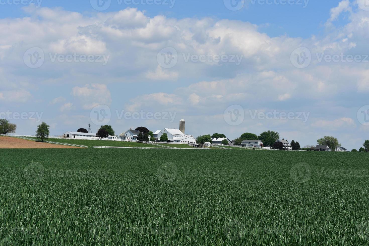 pastos y campos que rodean una granja en Pensilvania foto