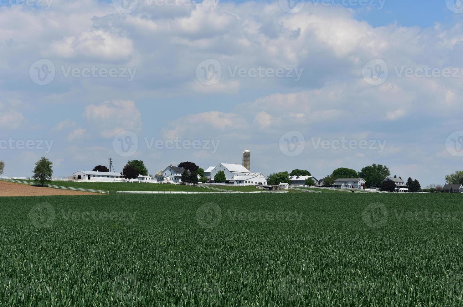 tierras de cultivo en el campo con hermosos campos foto