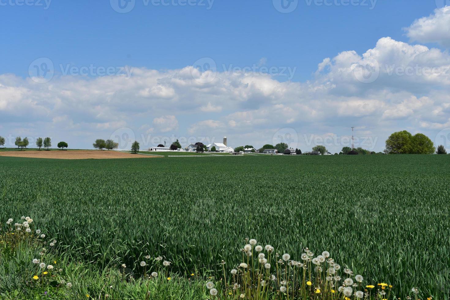 bonitas tierras de cultivo de Pensilvania en un agradable día de primavera foto