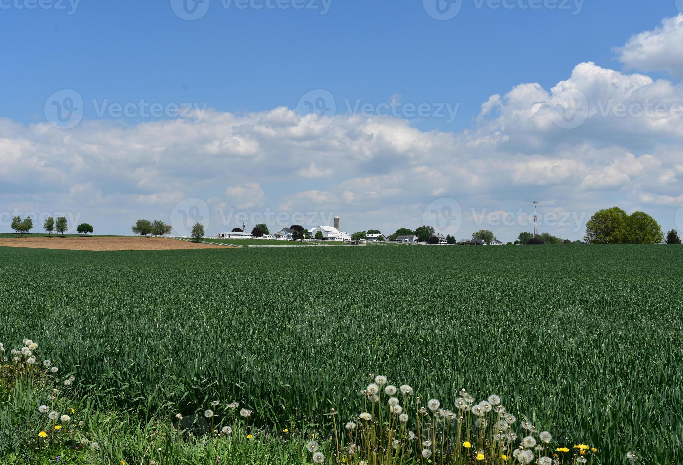 gorgeous-farm-in-lancaster-county-pennsylvania-during-the-spring