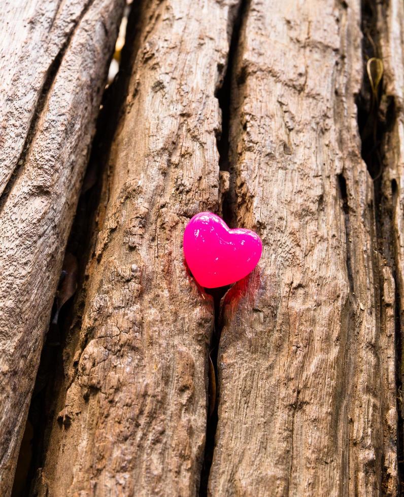 valentines day background with hearts photo