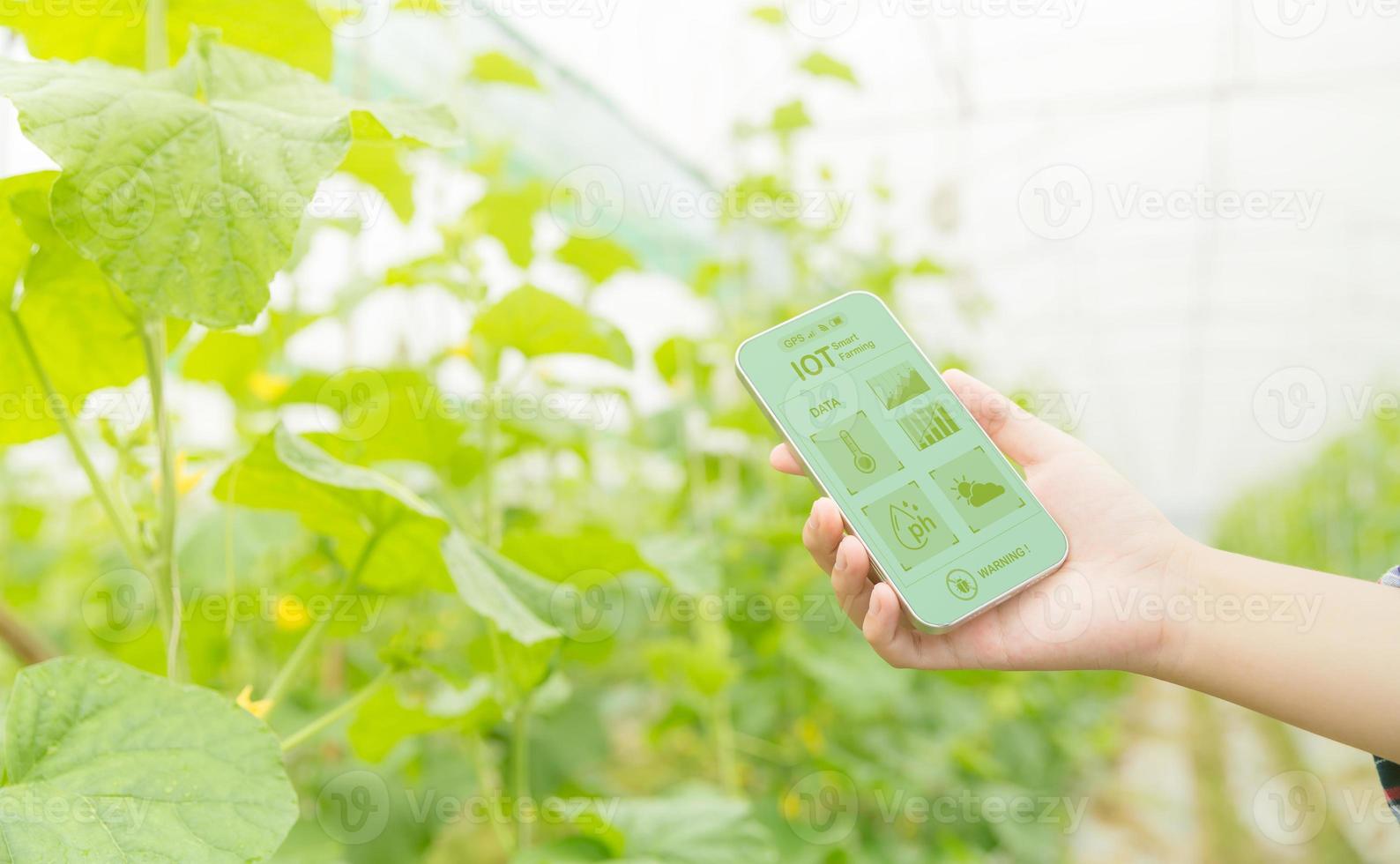 Internet of Things, IoT with Farming Smart concept. Agriculture and modern technology are used to manage crops. controlling the production to be effective to solve productive problems. business melon. photo