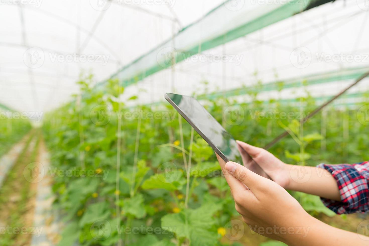 Internet of Things, IoT with Farming Smart concept. Agriculture and modern technology are used to manage crops. controlling the production to be effective to solve productive problems. business melon. photo