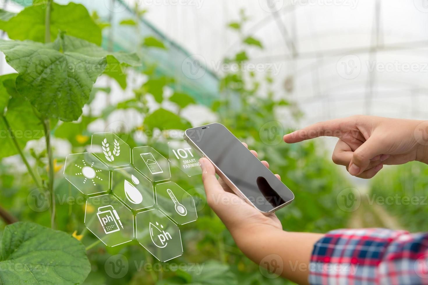 Internet of Things, IoT with Farming Smart concept. Agriculture and modern technology are used to manage crops. controlling the production to be effective to solve productive problems. business melon. photo