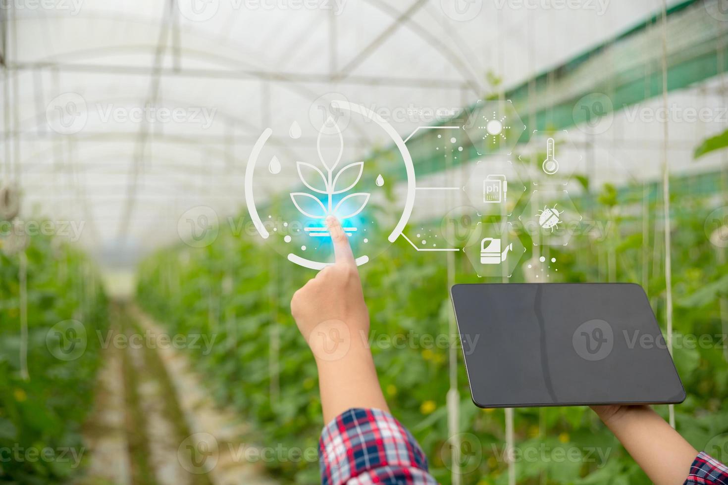 Internet of Things, IoT with Farming Smart concept. Agriculture and modern technology are used to manage crops. controlling the production to be effective to solve productive problems. business melon. photo