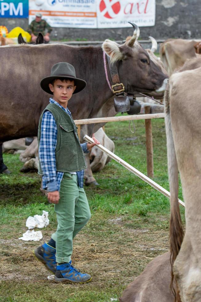 bergamo italy 2022 feria de ganado, la feria de ganado más grande de los valles de bergamo foto