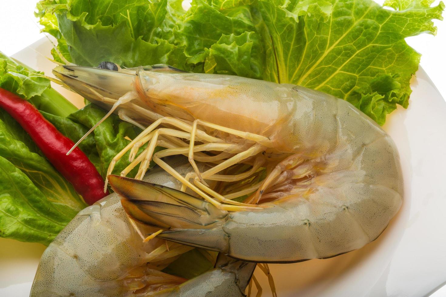Tiger prawn dish view photo