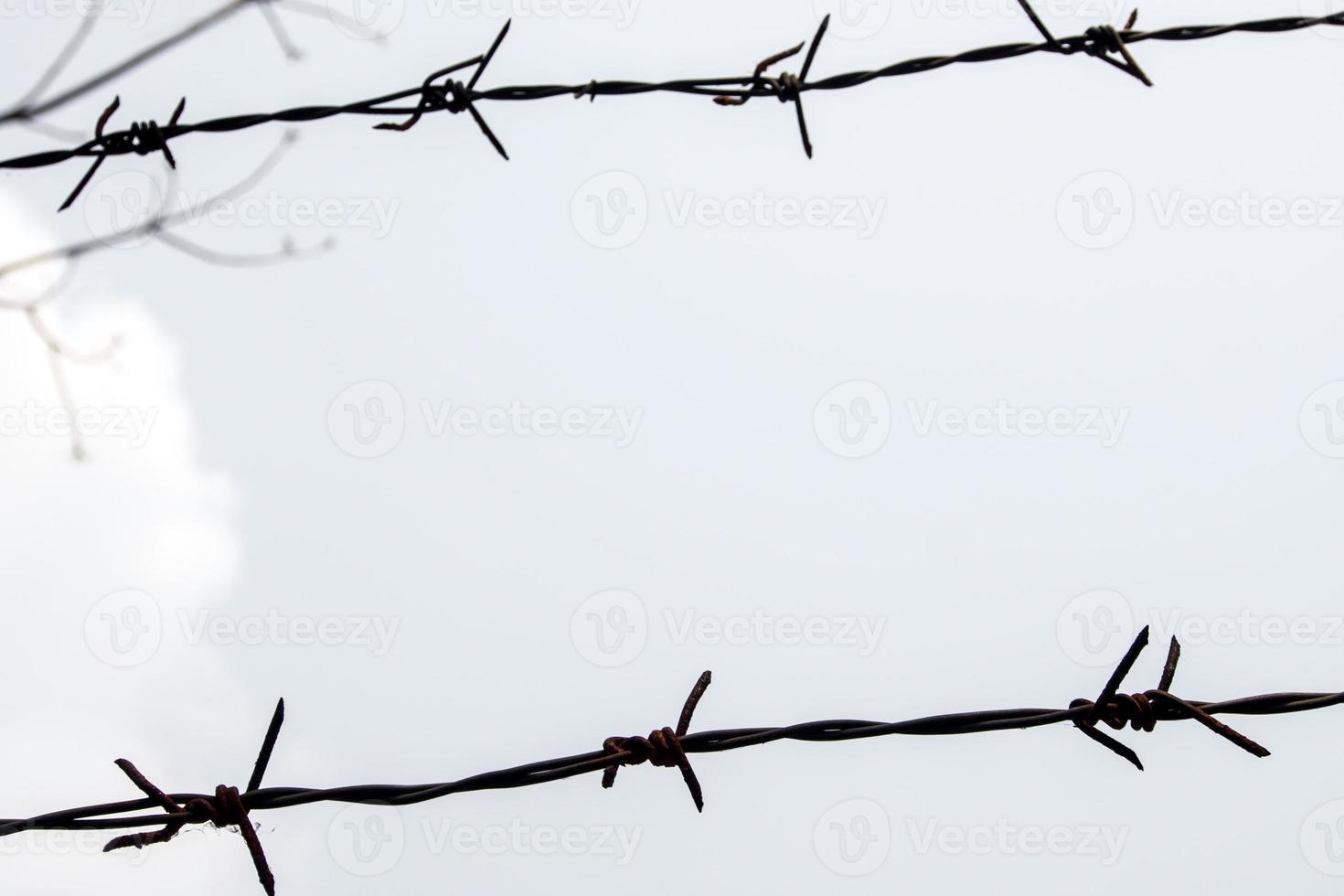 Old and rusty barbed wire on the fence photo