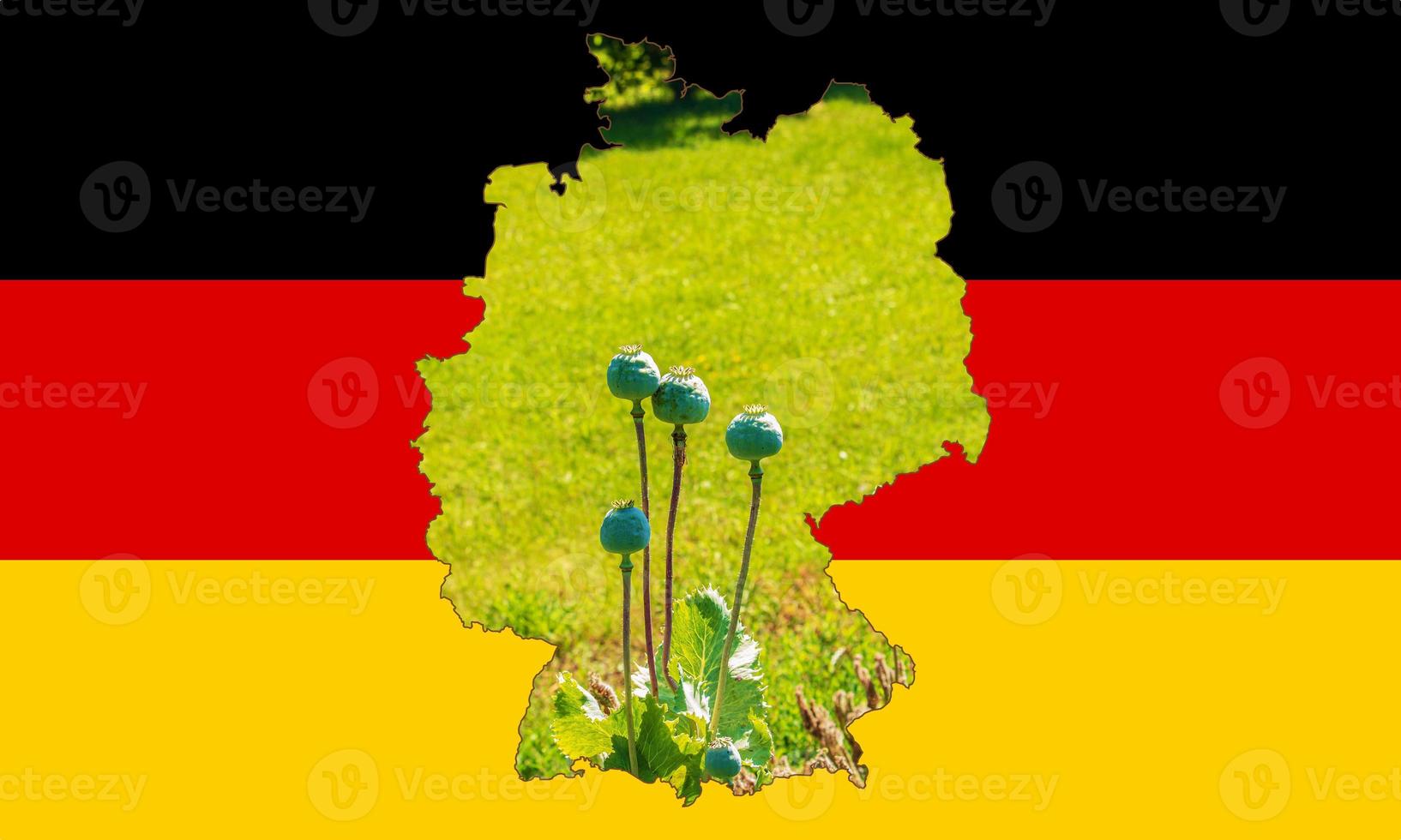 Outline map of the Germany with the image of the national flag. Image of poppy cob inside card. Collage. The Germany is a major poppy producer. photo