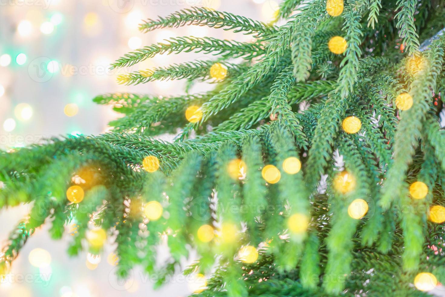 Closeup Christmas tree with bokeh light background photo