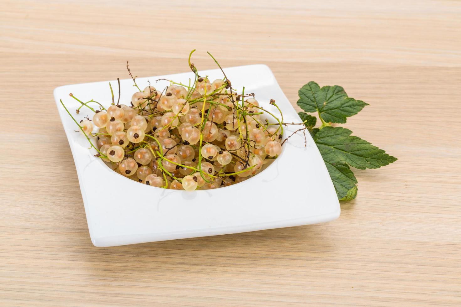White currant dish view photo