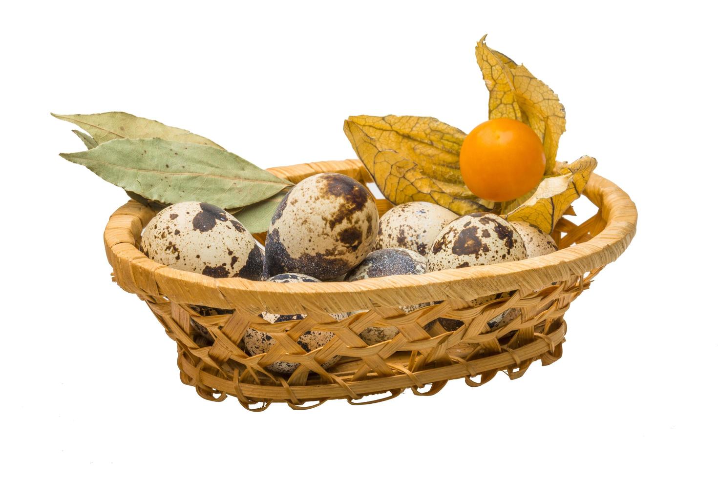 Quail eggs view photo