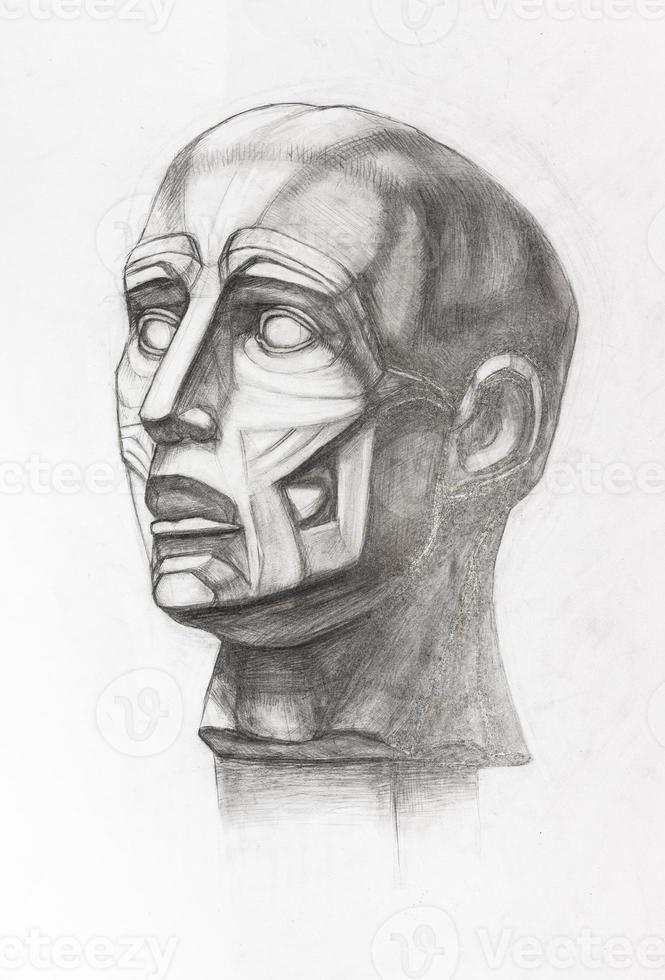 anatomical ecorche head hand-drawn by pencil photo