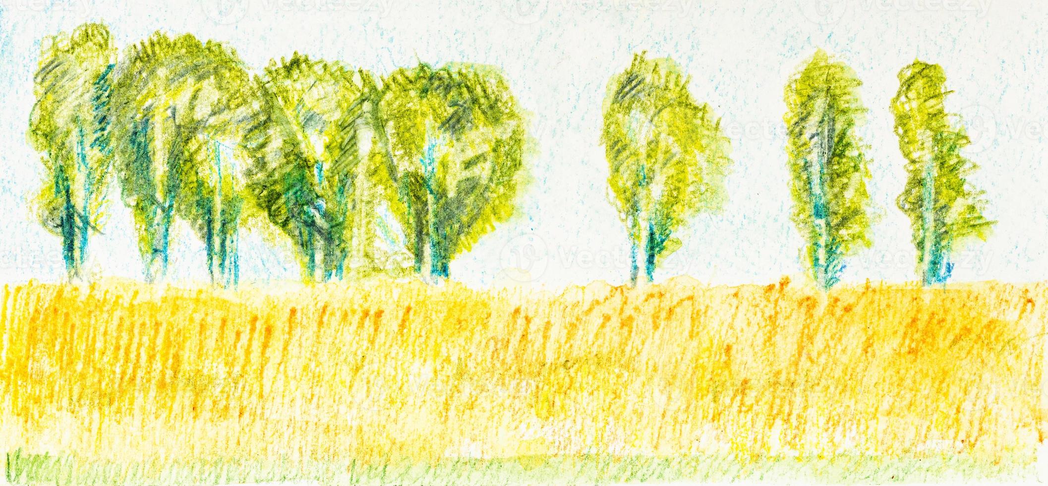 bosquejo del paisaje de verano con árboles y campo foto