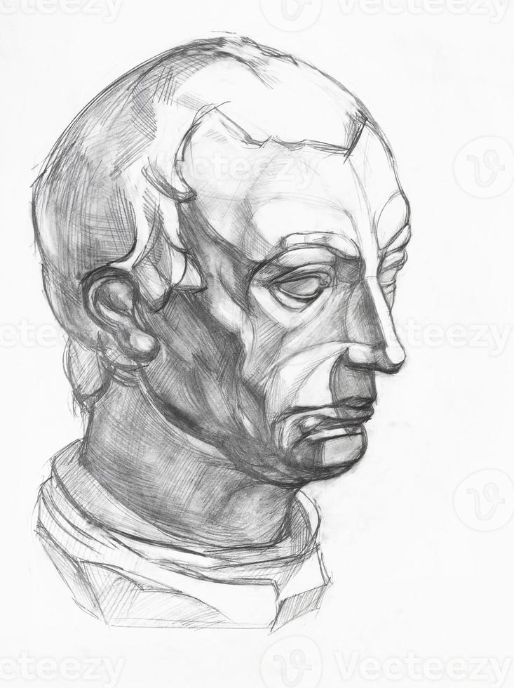 study of plaster cast of Gattamelata head photo