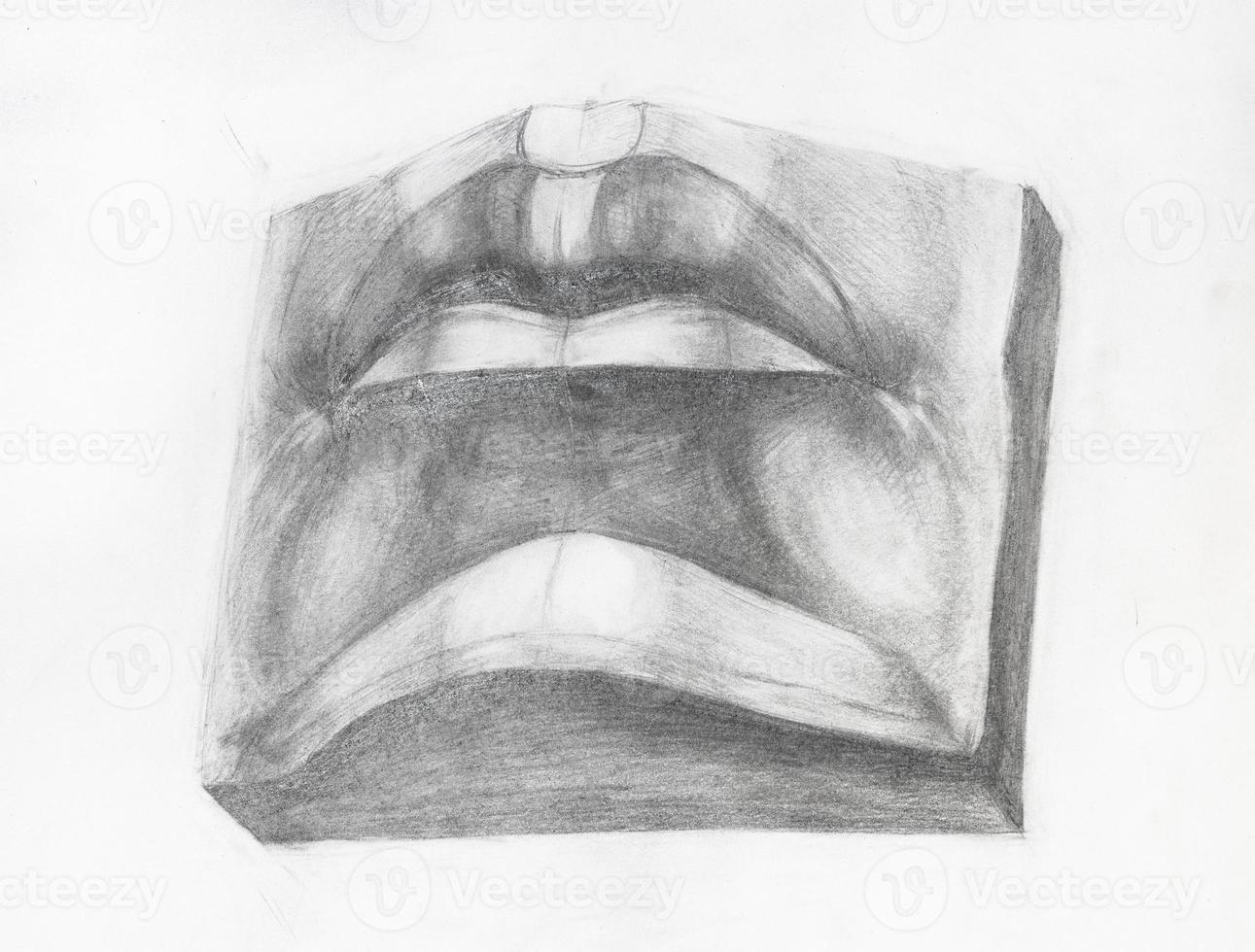 academic drawing - hand-drawn male mouth photo