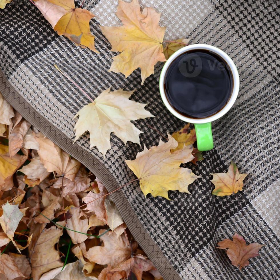 hojas de otoño y una taza de café caliente y humeante se encuentran en cuadros escoceses al aire libre foto