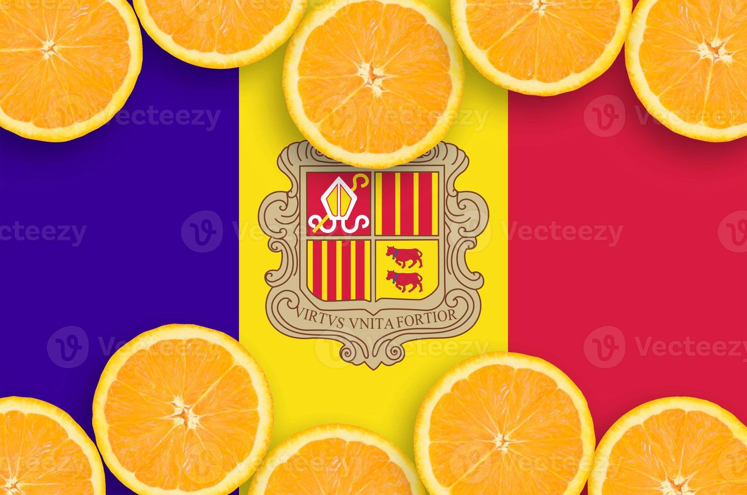 Andorra flag  in citrus fruit slices horizontal frame photo