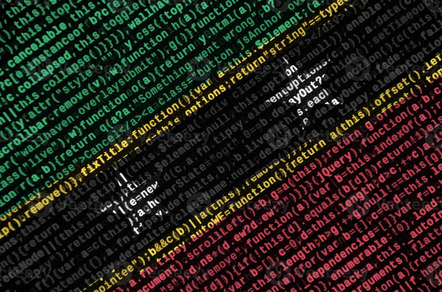 Saint Kitts and Nevis flag  is depicted on the screen with the program code. The concept of modern technology and site development photo