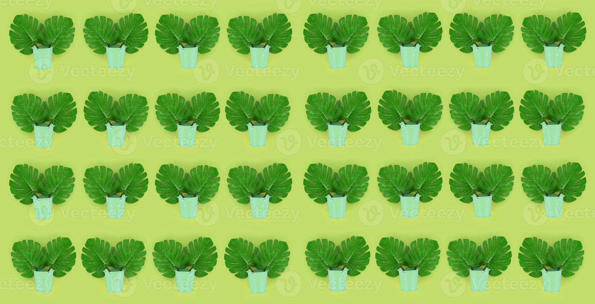 Tropical palm monstera leaves lies in a pastel pails on a colored background. Flat lay trendy minimal pattern. Top view photo
