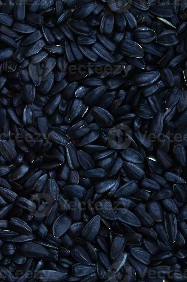 A pattern of many unprocessed fried sunflower seeds in a black shell. photo