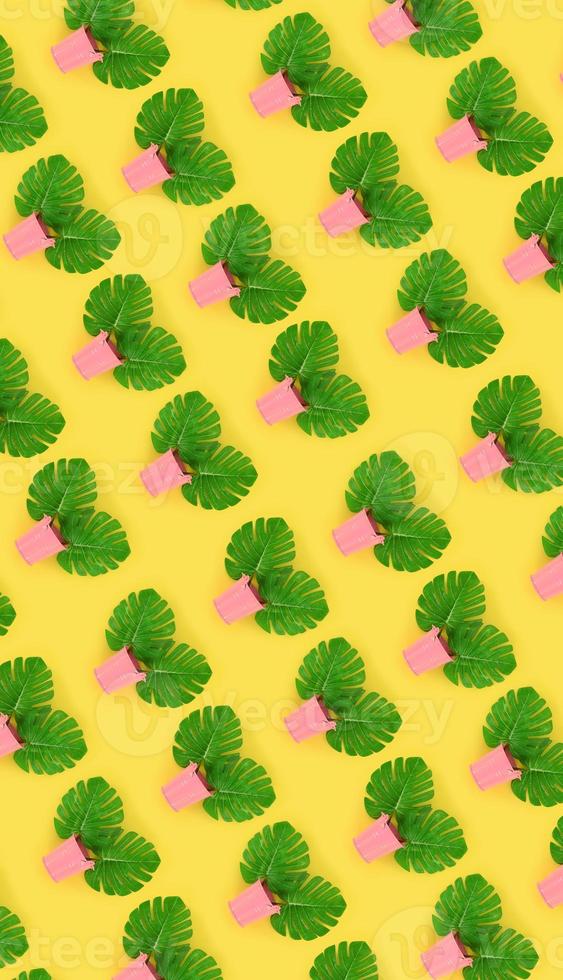 Tropical palm monstera leaves lies in a pastel pails on a colored background. Flat lay trendy minimal pattern. Top view photo