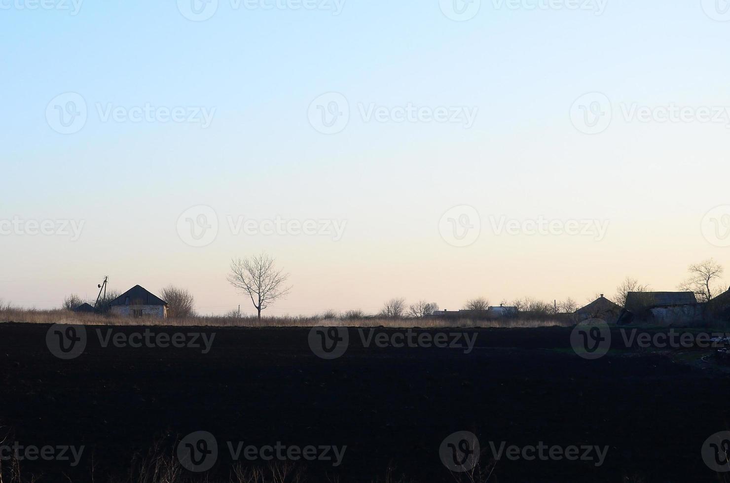 Dawn in the village. A minimalistic photo with a horizon line on which there is an apartment house and a tree