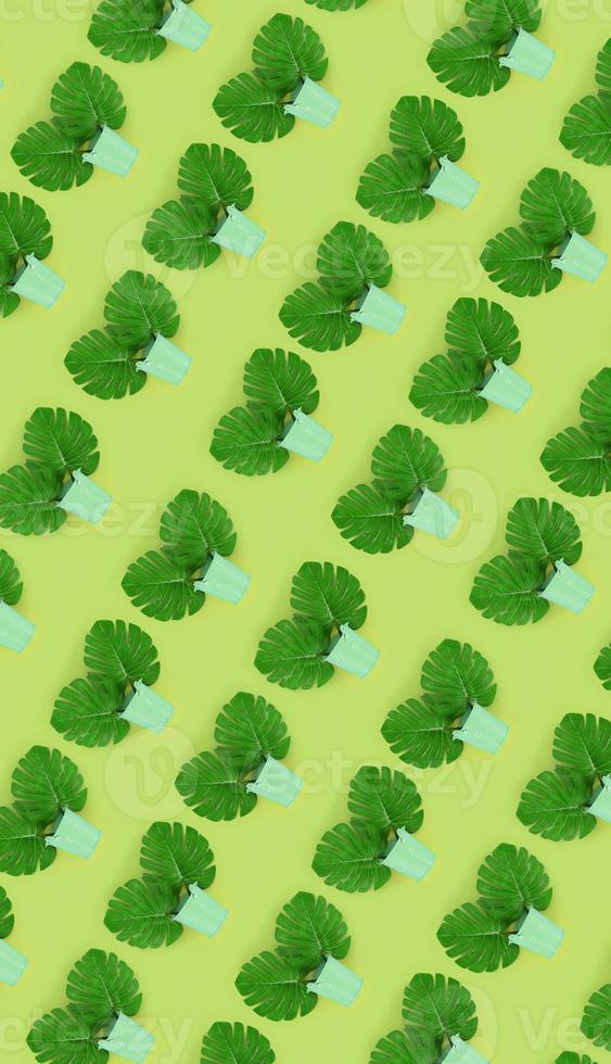 Tropical palm monstera leaves lies in a pastel pails on a colored background. Flat lay trendy minimal pattern. Top view photo