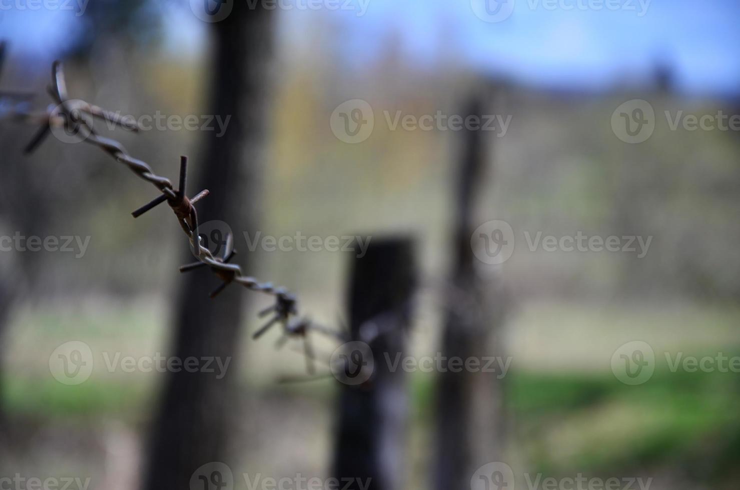 toma macro de un elemento de alambre de púas viejo y oxidado con un fondo borroso. fragmento de una valla de aldea de un sitio territorial foto