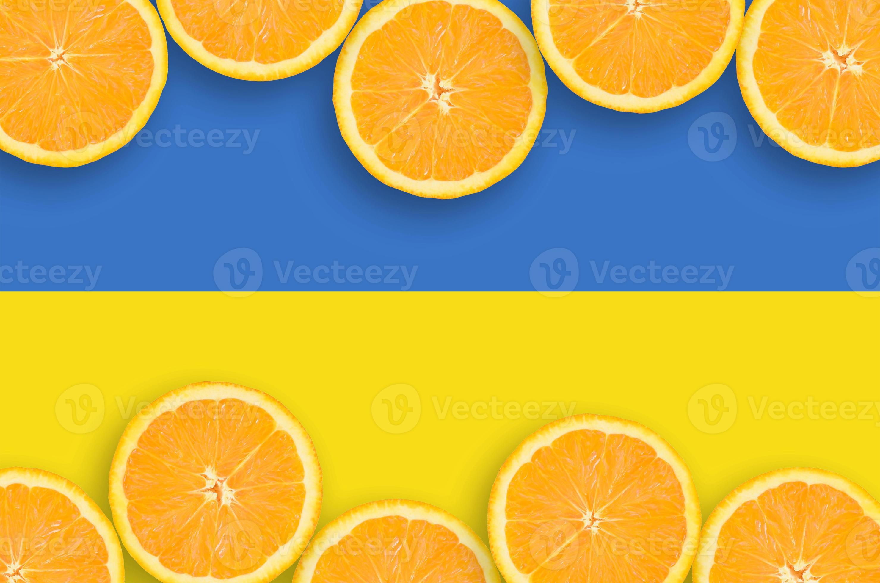 Ukraine flag in citrus fruit slices horizontal frame 12840192 Stock