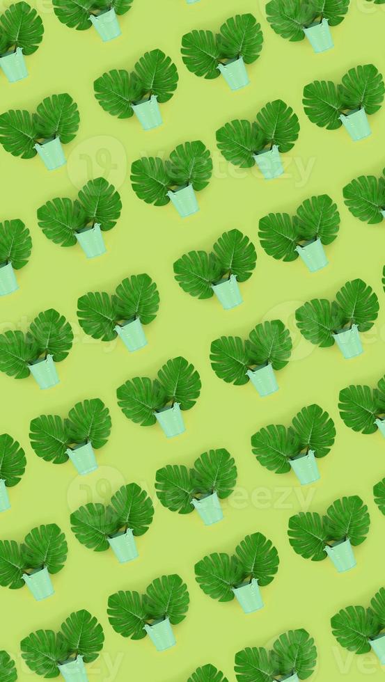 Tropical palm monstera leaves lies in a pastel pails on a colored background. Flat lay trendy minimal pattern. Top view photo