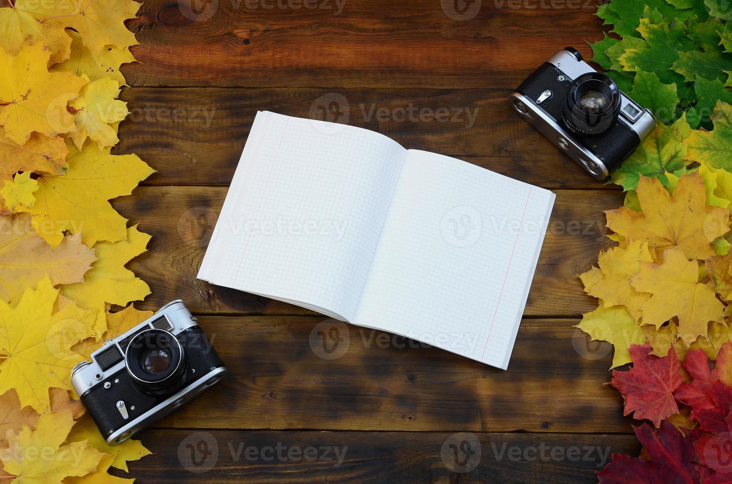 An open notebook and two old cameras among a set of yellowing fallen autumn leaves on a background surface of natural wooden boards of dark brown color photo