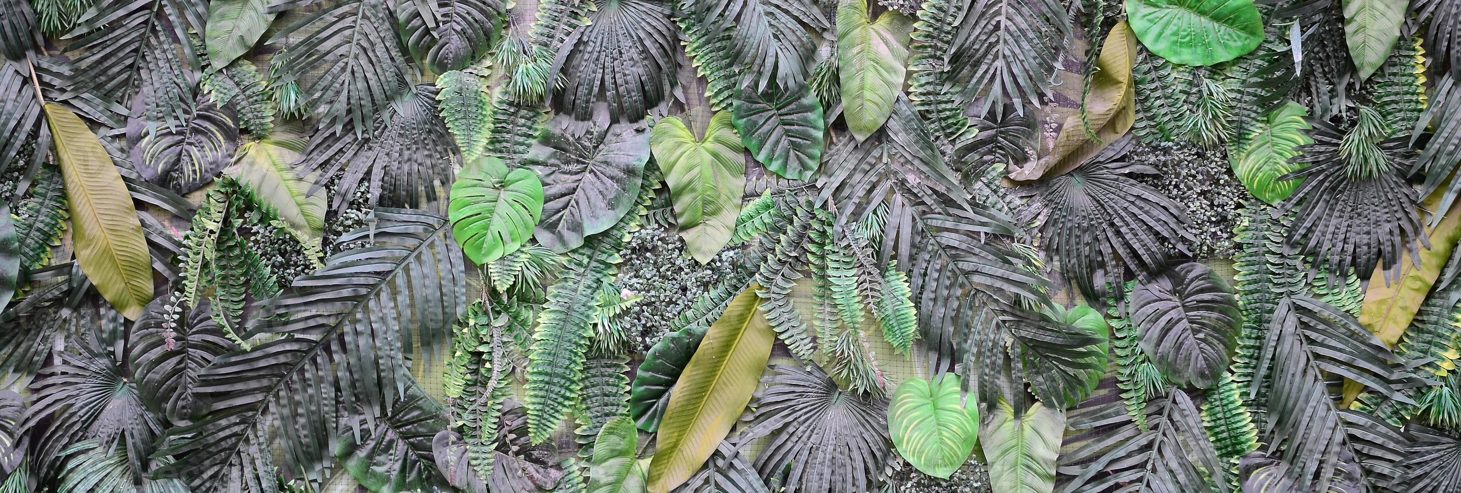 fondo de hojas verdes tropicales, helecho, palma y hoja de monstera deliciosa en la pared foto