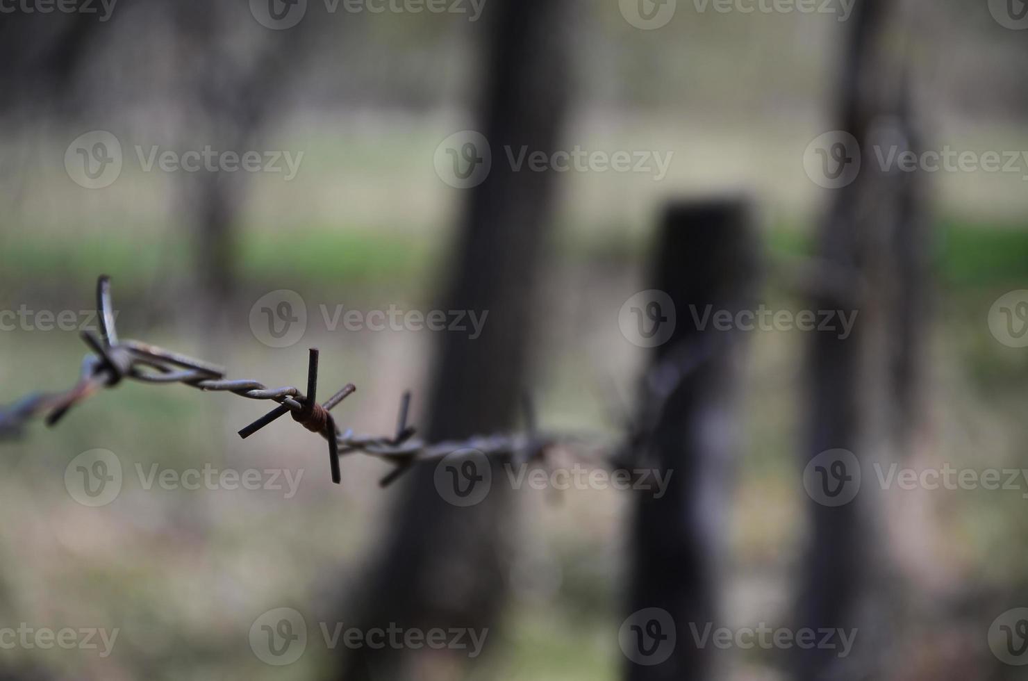 Macro shot of an element of old and rusty barbed wire with a blurred background. Fragment of a village fence of a territorial site photo