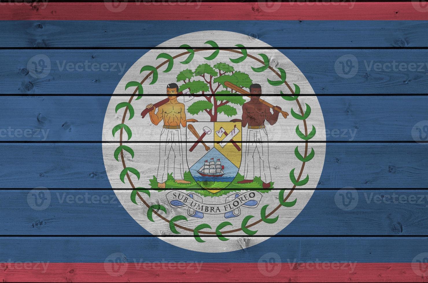 Belize flag depicted in bright paint colors on old wooden wall. Textured banner on rough background photo