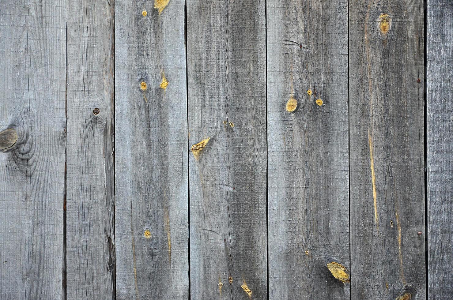 The texture of an old rustic wooden fence made of flat processed boards photo