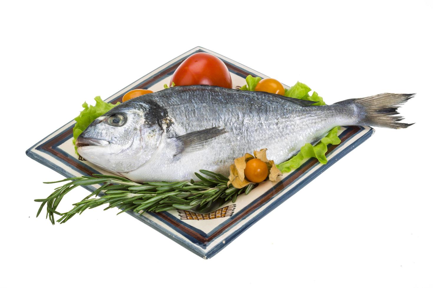 Raw dorado dish view photo