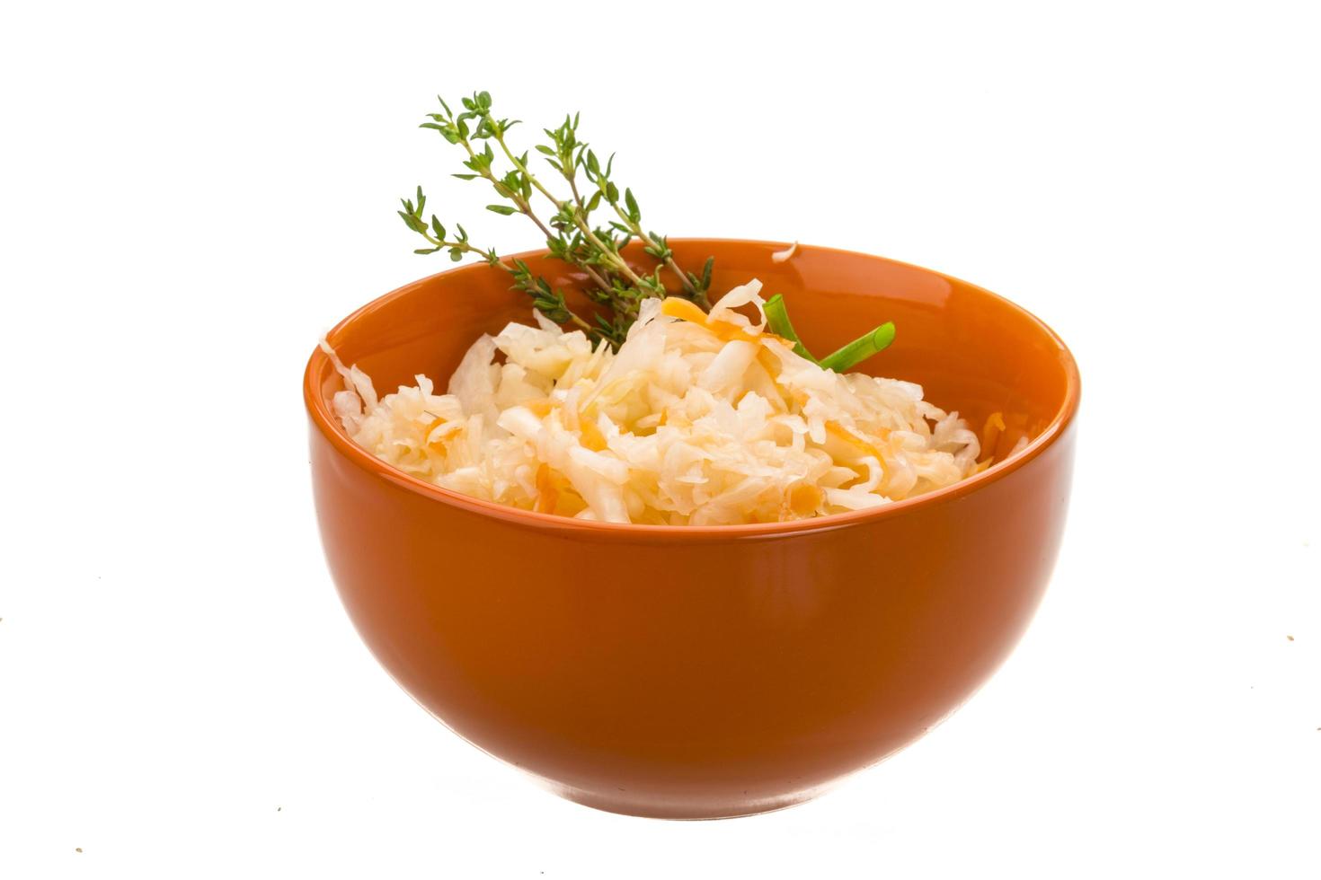 Fermented Cabbage dish view photo
